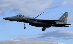 航空自衛隊のF15戦闘機=2024年10月、宮崎県新富町の空自新田原基地