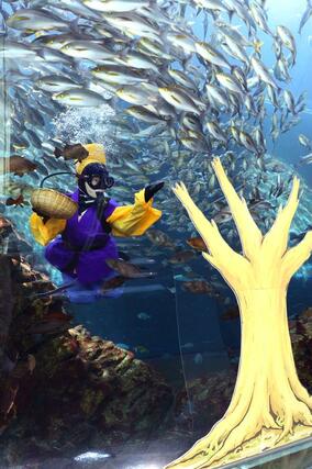 魚に餌のオキアミをまく花さかダイバー=28日、上越市五智2