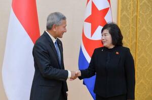 握手するシンガポールのバラクリシュナン外相(左)と北朝鮮の崔善姫外相=26日、平壌(共同)