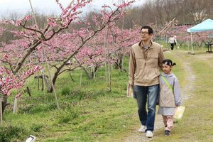 桃畑での花見やグルメを楽しんだ桃の花見フェスティバル=刈羽村刈羽