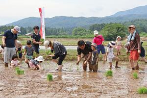 イベントで田植え体験をする親子ら＝柏崎市横山