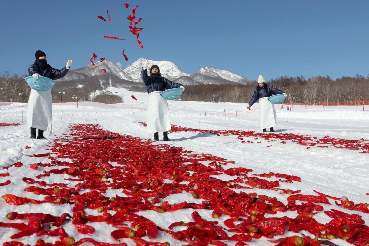 img_1452f0726cbf016d39bf606e6b