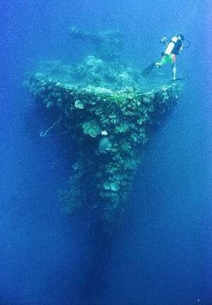 ミクロネシア連邦チューク州のデュブロン島の沖に沈む日本の商船=2004年10月(共同)