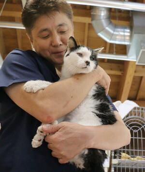 新潟市動物愛護センターが収容している猫の中で最高齢の「くじら」=新潟市中央区清五郎