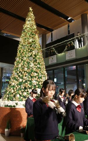 イルミネーションで彩られた「希望のシンボルツリー」=21日、新潟市中央区