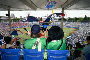 　プロ野球のヤクルト―広島戦でグッズを手に応援する参加者＝２１日午後、神宮球場