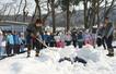 ジーンズを雪の下で保管するため雪を入れるスタッフ=1月23日、妙高市姫川原