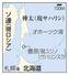 　ソ連（現ロシア）、樺太（現サハリン）・豊原（現ユジノサハリンスク）、北海道