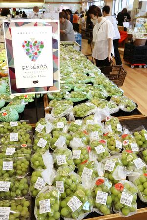 JA直売所「ただいまーと」のぶどうEXPOの売り場。黄緑色のシャインマスカットが多くの面積を占める=三条市福島新田