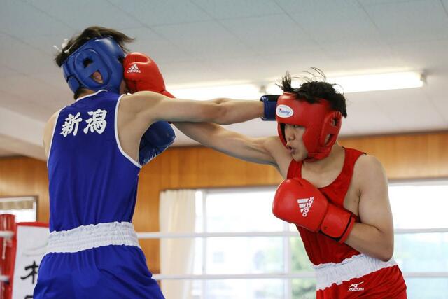 男子ウェルター級決勝　優勝した開志学園の寺島隆惺（右）＝新潟南高