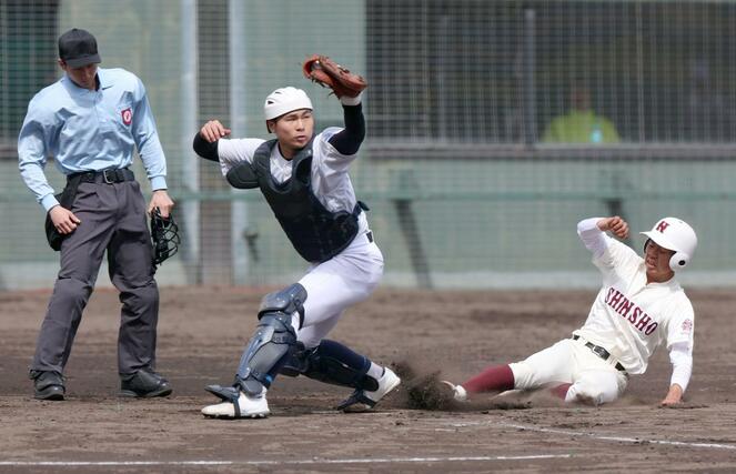 ３回新潟商　無死満塁　３番の内野ゴロで３走安達隆之介を本塁封殺する六日町の捕手小谷航琉＝柏崎市佐藤池球場