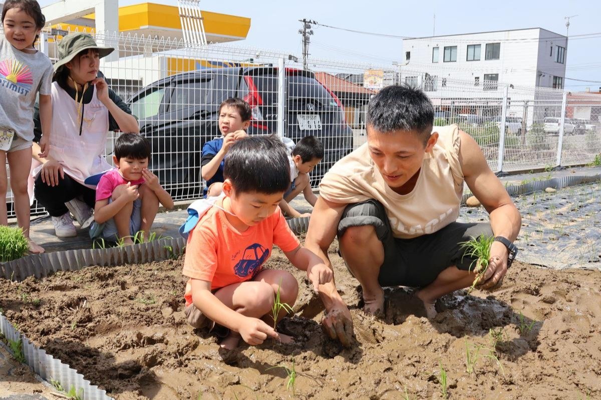 柏崎さくら保育園の年長児が田植え体験 「植えたコメを食べるのが