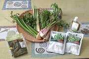 魚沼地域の採れたて山菜、通販で全国にお届け！食材卸売業の越季（南魚沼市）自社で作る加工食品も人気