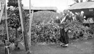 東京の旧陸軍被服廠跡に積まれた、関東大震災の犠牲者の遺骨と骨灰の山=1923年9月