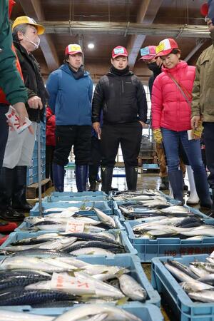 寒ブリやイカ、メジマグロなどが揚がり市場が活気づいた初競り＝４日、佐渡市春日
