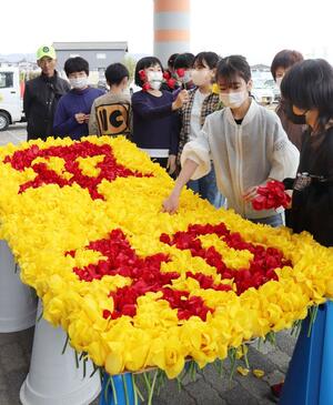 チューリップの黄色と赤色で「平和」の文字を作った築地小の児童ら=4月24日、胎内市築地