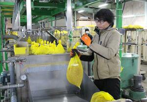 種もみをお湯で殺菌する温湯消毒作業に取り組む組合員=阿賀野市金屋