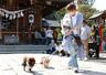 着物姿の愛犬と飼い主が登場した「わんちゃん着物ファッションショー」＝五泉市宮町
