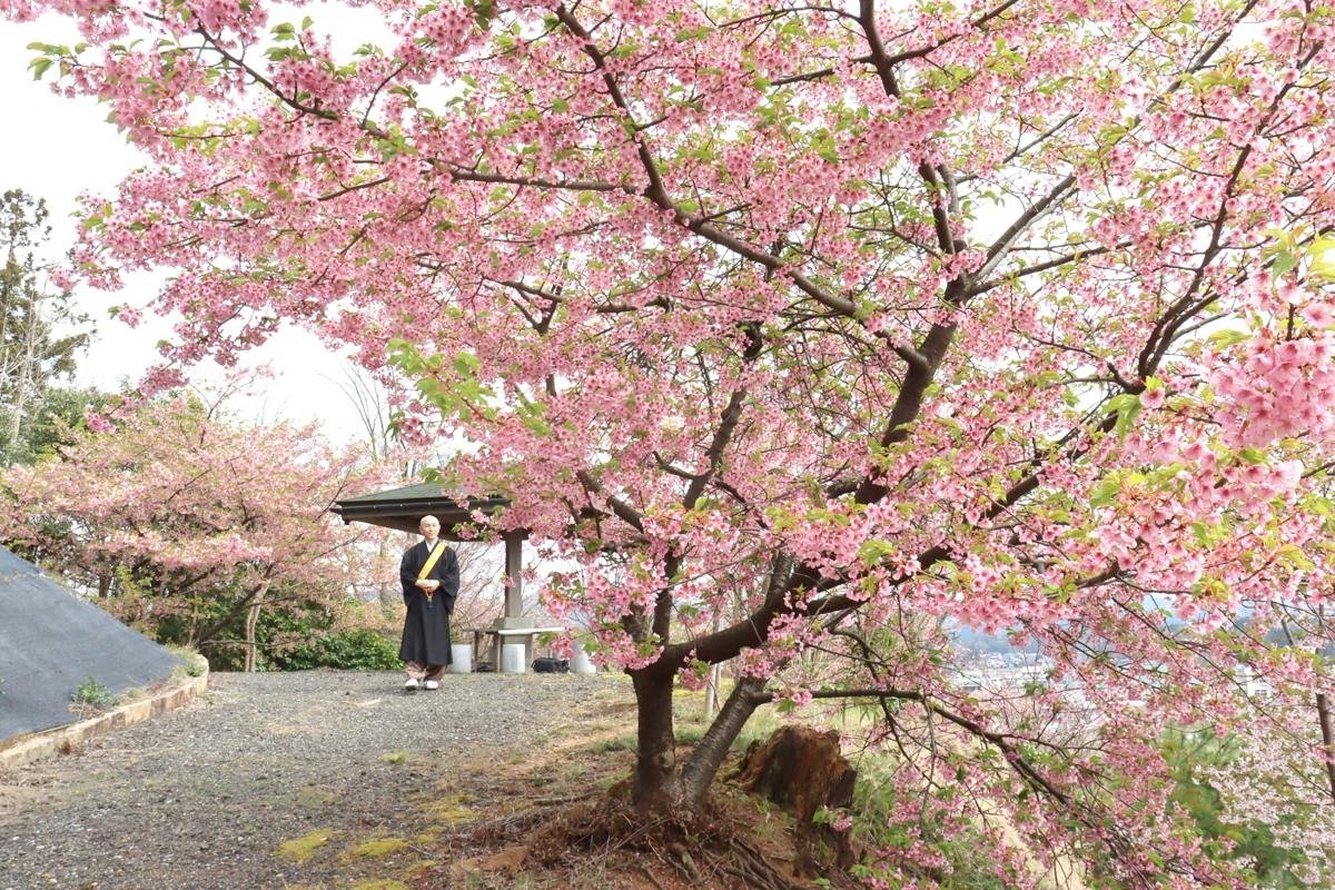 img_1b72b27184a81092d0d21ed36b