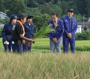 渇水で枯れ始めている水田の説明を受ける立憲民主党の野田佳彦代表(右から2人目)ら=30日、上越市
