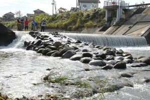 見附市の稚児清水川に設けられた石組みの魚道。関係者が鮭が上れるか、水量などを確認していた=2024年11月