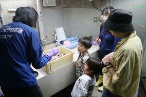 ペンギン飼育舎の裏側を見て回る親子ら=4月28日、新潟市中央区