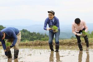地元の住民と田植えをする林家木久蔵さん(中央)=5月、上越市柿崎区下牧