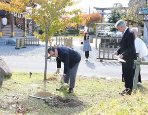市民に親しまれていた「遷宮の松」の苗木を植樹する諏訪神社の関係者=新発田市諏訪町1