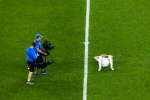 　サッカーＷ杯のエジプト戦後、ピッチにあおむけになるイランのハリルザデ＝２６日、米シアトル（ゲッティ＝共同）