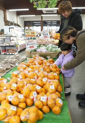 正月の食材を求める買い物客らでにぎわった農産物直売所「にいがた村」＝３０日、新潟市南区