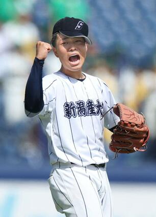 新潟産大付－新発田農　最後の打者を左飛に打ち取り、雄たけびを上げる新潟産大付のエース小平乃希。９安打を浴びたが要所を締めて完封した＝７月１９日、新潟市中央区長潟のハードオフ・エコスタジアム