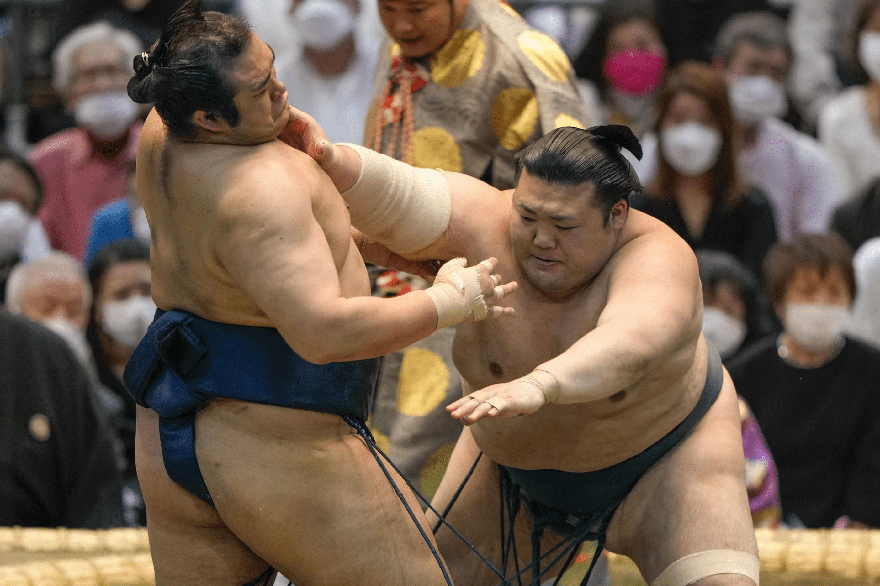 かわいい新作 大相撲三月場所初日 4枚 相撲 武道
