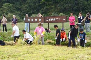 稲刈りをする小林幸子さんと子どもたち=9月28日、十日町市