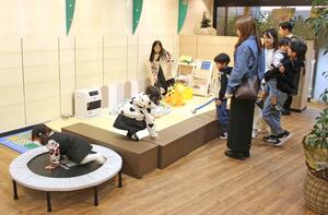 子どもが自由に遊べるスペース