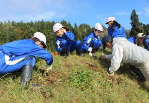 オキナグサの苗を植える広神西小の児童ら=魚沼市大芋川