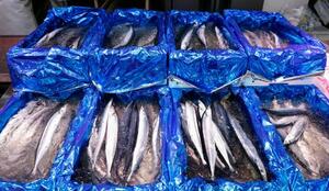 東京都品川区の鮮魚店「中與(なかよ)商店」に並ぶサンマ=25日午前