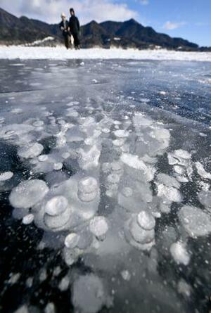 北海道上士幌町の糠平湖に出現した、凍結した湖面に湧き出たガスなどの気泡が閉じ込められた「アイスバブル」=22日午後
