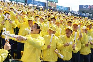 チームカラーの黄色でスタンドを染め上げて声援を送る生徒ら＝２３日、甲子園球場
