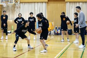 新体制で本格的な練習をスタートさせた新潟アルビレックスBBラビッツ=阿賀野市