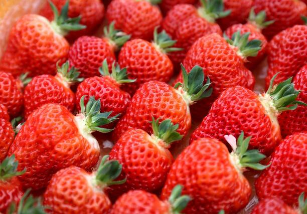 若杉さんのイチゴ