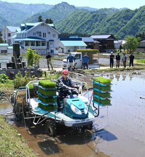 湯沢産の酒米を使った日本酒造りに向けて行った田植え=湯沢町土樽