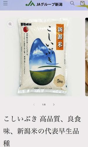 削除された偽サイト(JA新潟中央会提供)