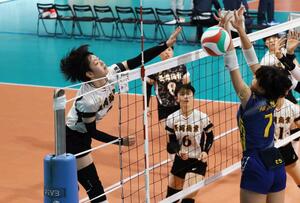 横浜隼人(神奈川)-長岡商 第2セット、スパイクを決める冨田ひかり。得意のサーブでもチームを勢いづけた=東京体育館