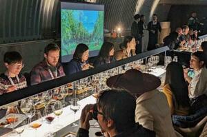 　改装したテイスティングルームでワインを楽しむ訪日客＝北海道小樽市（北海道ワイン提供）