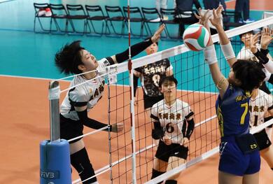 バレーボール全日本高校選手権（春高）新潟県勢］女子・長岡商が堅守で