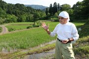 日本一の「棚田米」売り込め！上越市やＪＡ、オリジナルロゴや精米袋作成　他産地との差別化図る