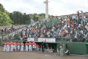 多くの観客が声援を送るオイシックスのホーム戦=5月25日、長岡市悠久山