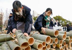 　「１・１７のつどい」が開かれる会場で竹灯籠を並べる高校生＝１５日午後、神戸市中央区の東遊園地