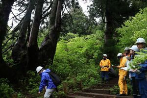 ２０２５年６月のオープン前に行われた県職員らによる安全確認