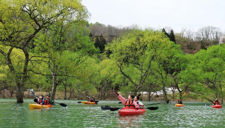 見頃を迎えた新緑の水没林を背に、アクティビティーを楽しむ人でにぎわう白川湖＝２０日午前、山形県飯豊町（山形新聞社提供）